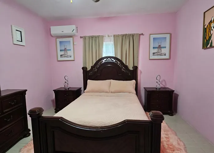 Shampaige Oasis *